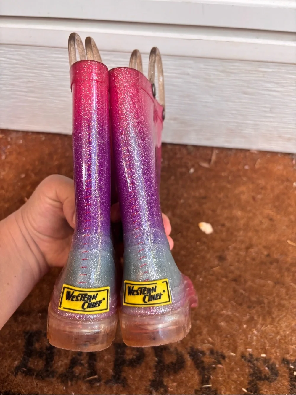 Western Chief Ombré Rainboots